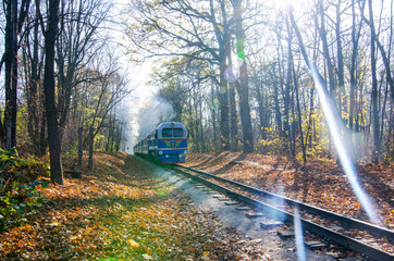 Blue train rides on narrow gauge railway in autumn forest