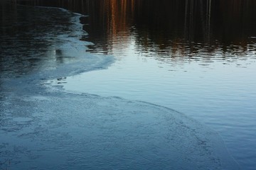 Beautiful landscape of trees and river in the forest