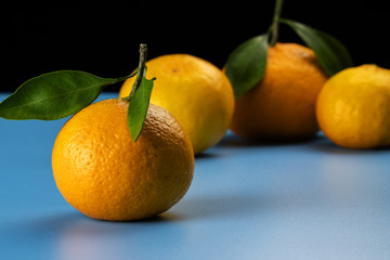 Yellow and ripe tangerines on a blue background.