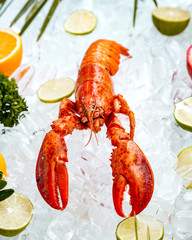 close up of red lobster placed on ice surrounded with fruit slices