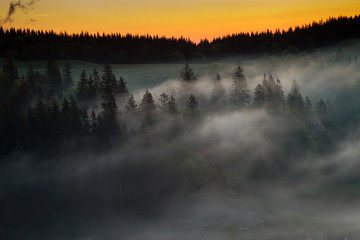 Deep fog above the valley at sunrise