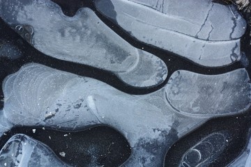 Obraz premium Frozen puddle with beautiful pattern in the forest