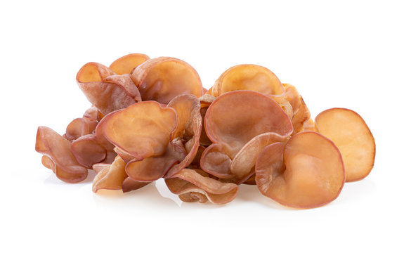 Jew's ear, Wood ear, Jelly ear isolated on white background