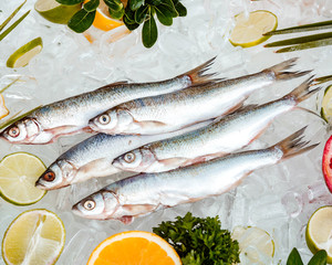top view of raw fish placed on ice surrounded with fruit slices ___