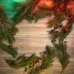 christmas background with fir branches