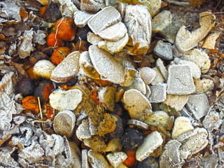 frost on pieces of discarded bread