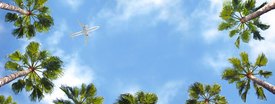 Airplane Flying Above The Palm Trees.