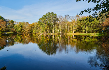 Herbstliches Panorama mit heller Sonne und Spiegelungen im Karpfenteich in Berlin im Treptower Park 