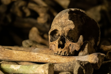 Skulls and bones in catacombs. Old broken skull placed on the bones. Underground cemetery