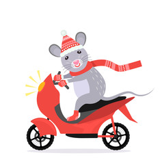 Funny little rat with a smile on his face in a costume of Santa Claus rides a motorcycle.