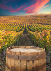 Vin rouge avec baril sur vignoble en Toscane verte, Italie