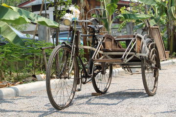 Fototapeta na wymiar Vintage old black tricycle decorated in the park.