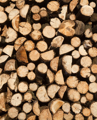 Stack of firewood