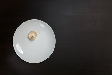 One raw champignon mushroom on a white plate on black table. Not enought food or oversaturation concept. Diet, nutrition, healthy and unhealthy eating habits, overweight or underweight concept.