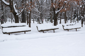 冬の公園のベンチ