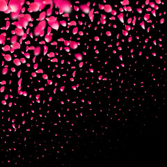 Fototapeta na wymiar Pink falling petals wind. Sakura or rose flower pastel texture background.