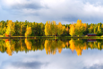 Autumn forest with colored leaves by the lake