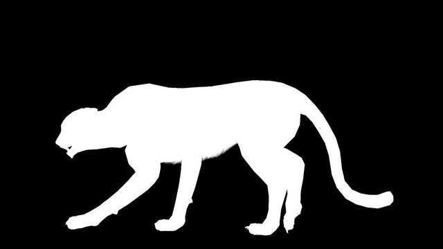 Animated silhouette of a cheetah. Alpha channel. Alpha matte. FullHD.