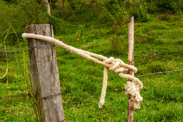 Fototapeta premium Porteira IMG_9220