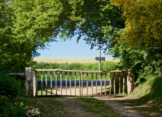 gate at the exit of the Park on the road, pointer and view of the field and the blue sky