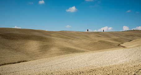 Fototapeta na wymiar Idyllic landscape with meadow filed at Tuscany area near Pienza, Italy, Europe