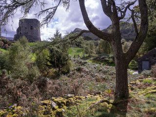 Old ruined castle tower in beautiful landscape in Wales