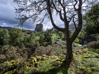 Fototapeta premium Old ruined castle tower in beautiful landscape in Wales