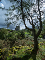 Fototapeta premium Old ruined castle tower in beautiful landscape in Wales