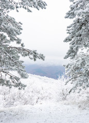 Winter snowy landscape