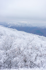 Fototapeta na wymiar Winter snowy landscape