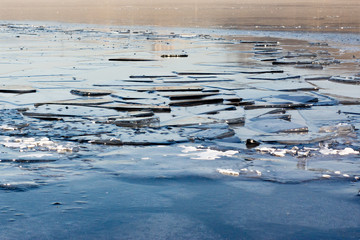 thaw on ice with blocks 2