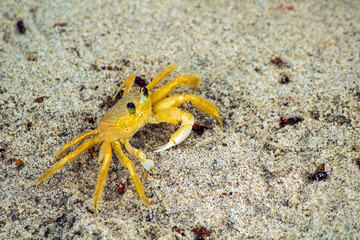 Maria Farinha IMG_6627