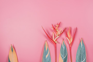 tropical flowers and summer concept from colorful flat lay and web banner design from heliconia with beauty leaf on pink vintage background