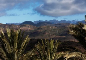 Iles Canaries