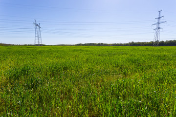 electric towers with wire among green fields, industrial energy transportation scene