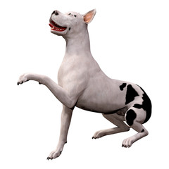 Obraz na płótnie Canvas 3D Rendering Grat Dane Dog on White
