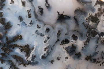 Southwestern Moss Agate Macro photo.