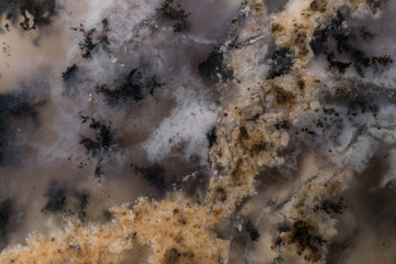 Varible colored southwest Moss Agate.