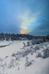 Fototapeta premium Snow covered trees on a hill overlooking a small valley under a beautiful sky