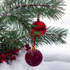Christmas composition of red balls, pine branches , red european holly berries and snow