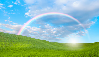 Naklejka premium Green grass field with rainbow