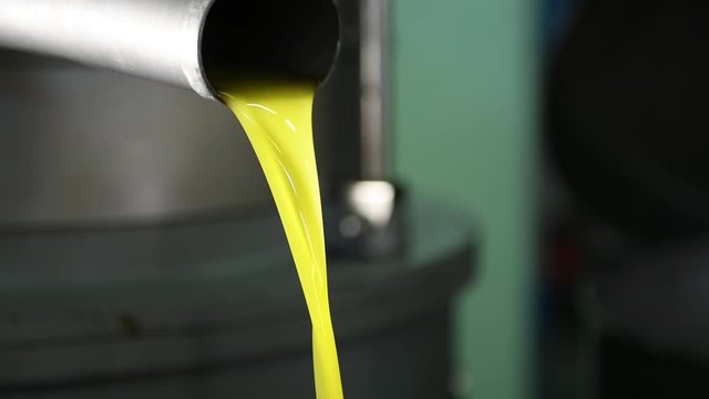 Fresh extra vergin olive oil falling in recipient, extracted olive oil. Production Of Olive Oil, Olive Oil mill industry. Olive oil production process in Puglia, Salento, Italy