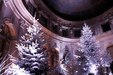 Noel a Vaux le Vicomte 