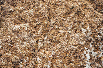 Brown old wall close-up from a block of limestone in the style of grunge. Vintage texture of...