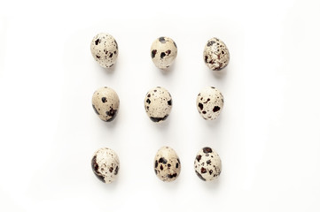 quail eggs on a white background