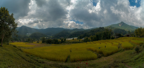 Panoramic Landscape