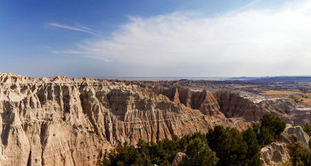 Badlands and Pine Trees