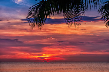 Obraz na płótnie Canvas Sunset and palms