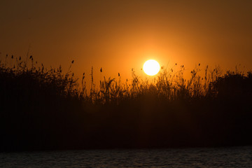 Sunset at chobe riverfront, Botswana, Africa