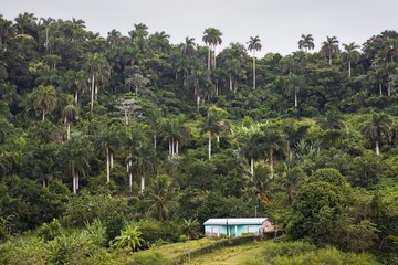 Vignales Cuba